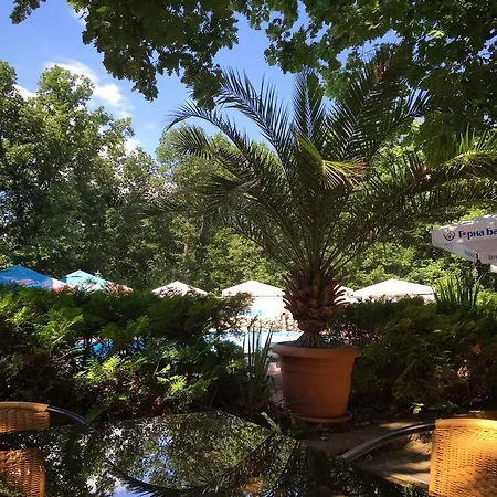 Druzhba Hotel 2*